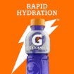 Picture of Gatorade Fierce Grape Sports Drink 600Ml