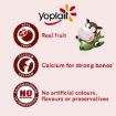Picture of Yoplait Miam Yoghurt Fruit Salad 70Gm