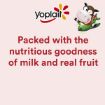 Picture of Yoplait Miam Yoghurt Fruit Salad 70Gm