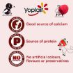 Picture of Yoplait Yoghurt Mixed Berry 1Kg