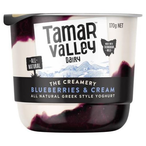 Picture of Tamar Valley Yoghurt Blueberry & Cream 170Gm