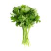 Picture of Premium Continental Parsley Sleeved