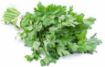 Picture of Premium Continental Parsley Sleeved