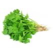 Picture of Premium Coriander Sleeved