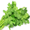 Picture of Premium Coriander Sleeved