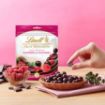 Picture of Lindt Fruit Sensation Raspberry Cranberry 150Gm